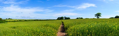 Highfields, Clifton upon Teme, Worcestershire