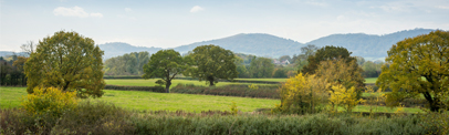 Spring Meadows, Welland, Worcestershire