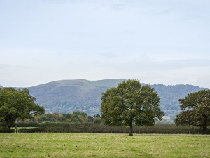 Spring Meadows, Welland